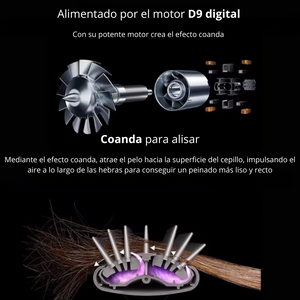 Secador 5 en 1